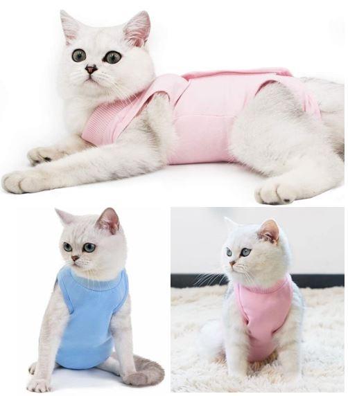 Pet Surgical Recovery Suit