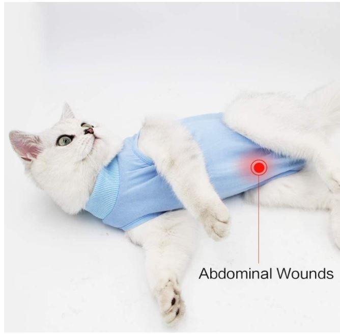 Pet Surgical Recovery Suit