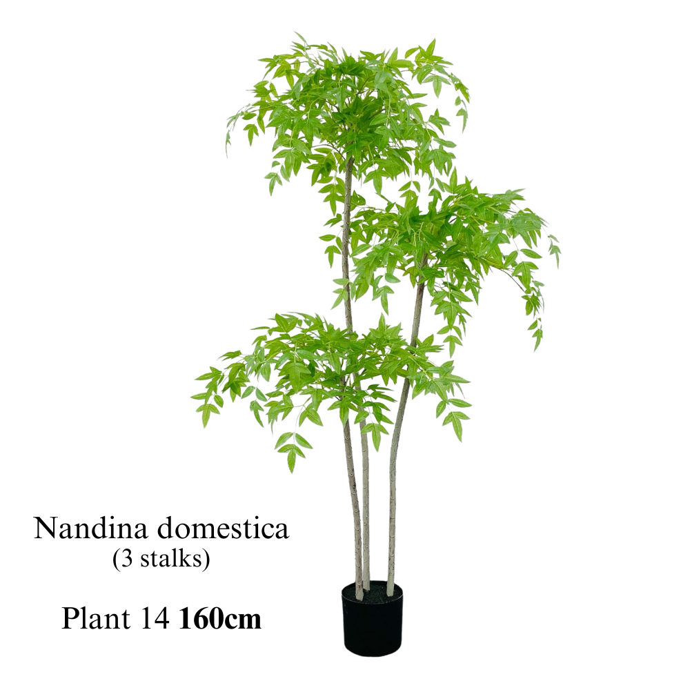 Artificial Nandina Domestica Plant (160cm)