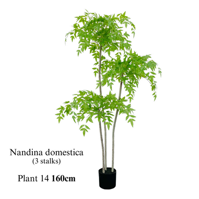 Artificial Nandina Domestica Plant (160cm)