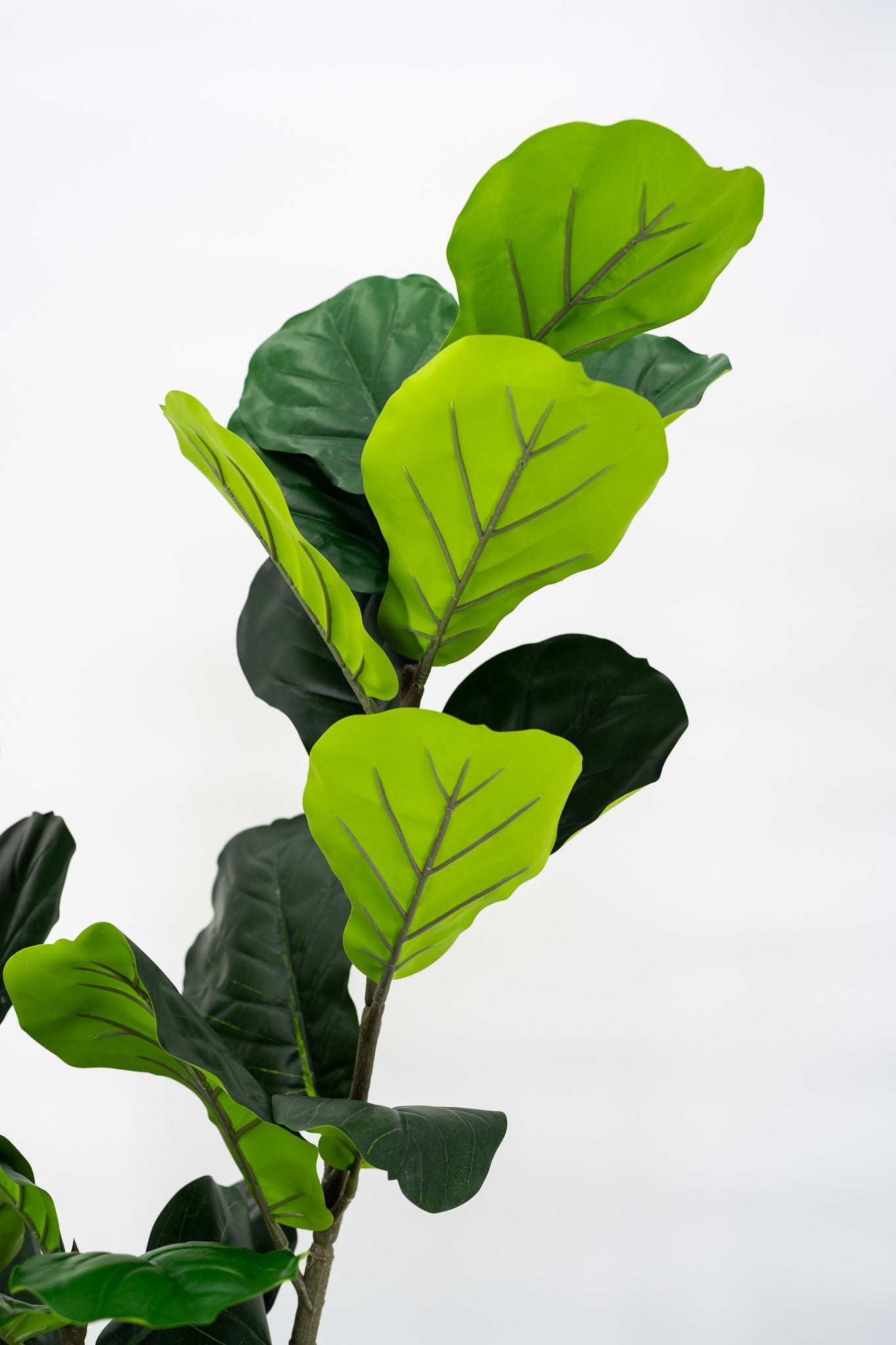 Artificial Fiddle Fig Plant 120cm