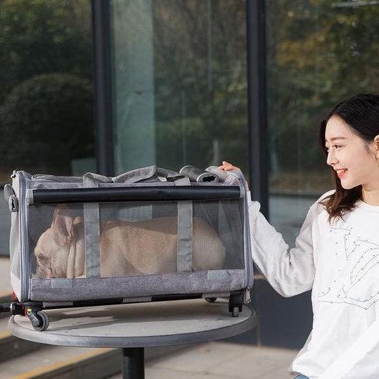 Pet Rolling Carrier Pet Sling and Luggage Trolley Carrier