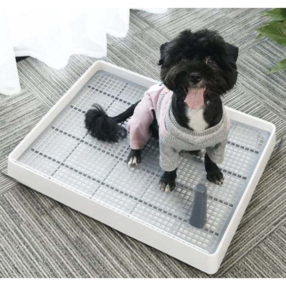 Pee Tray with Training Pole (Gray)
