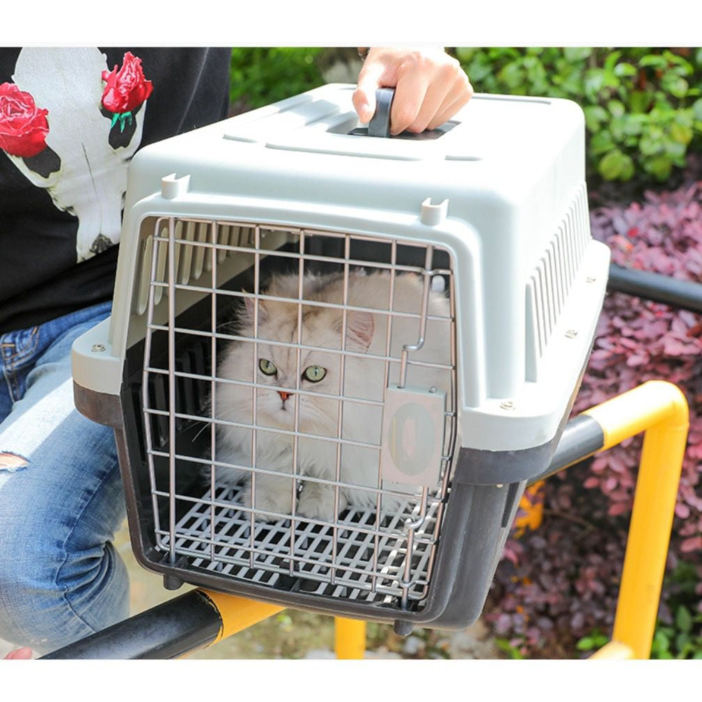 Pet Travel Carrier