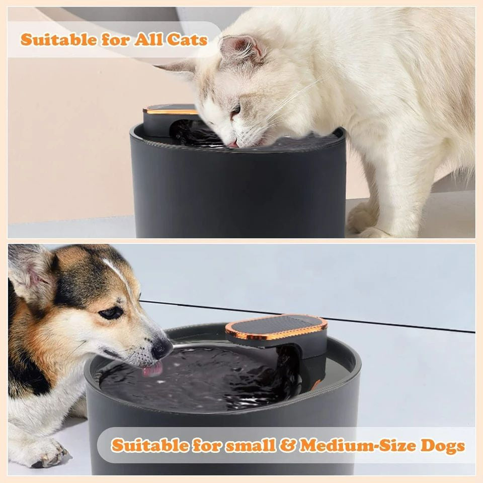 Water Fountain - Automatic with LED Filter (3L)