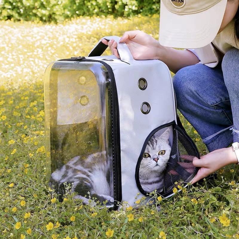 Transparent Capsule Pet Backpack (33cm)