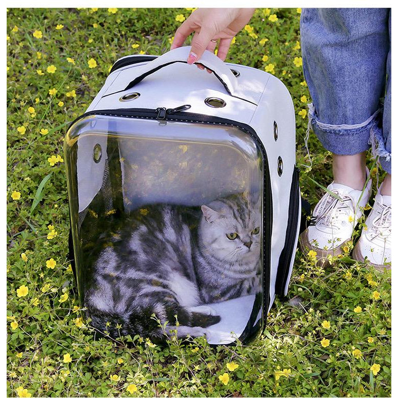 Transparent Capsule Pet Backpack (33cm)