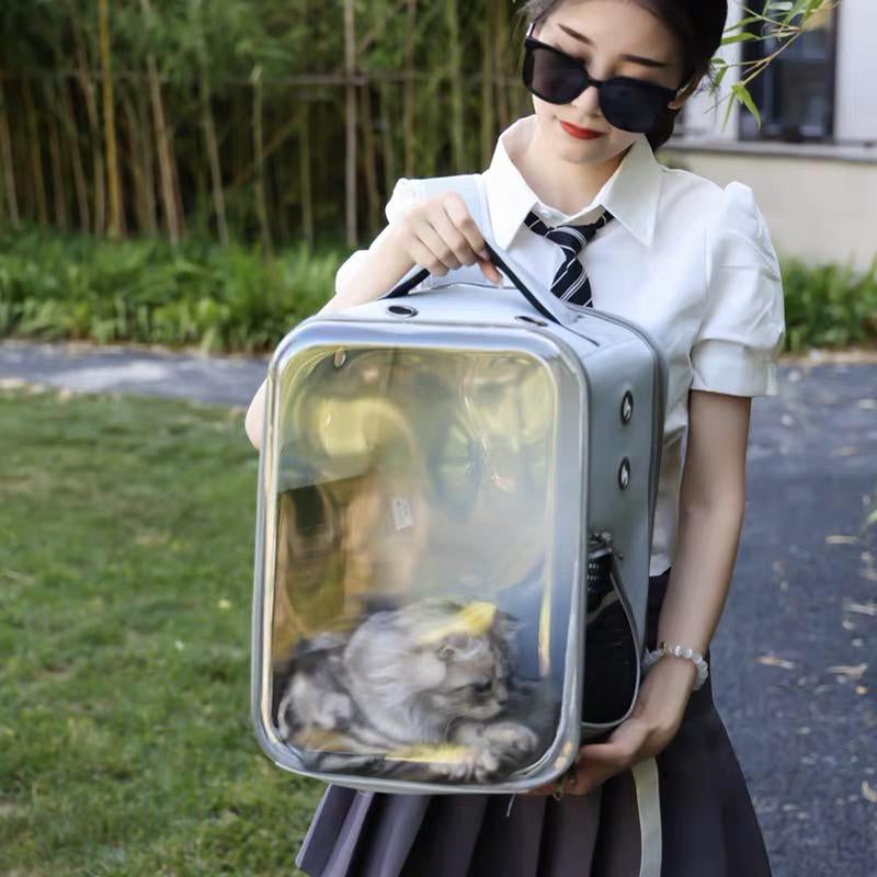 Transparent Capsule Pet Backpack (33cm)