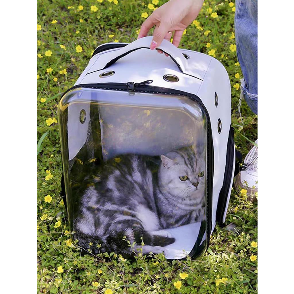 Transparent Capsule Pet Backpack (33cm)