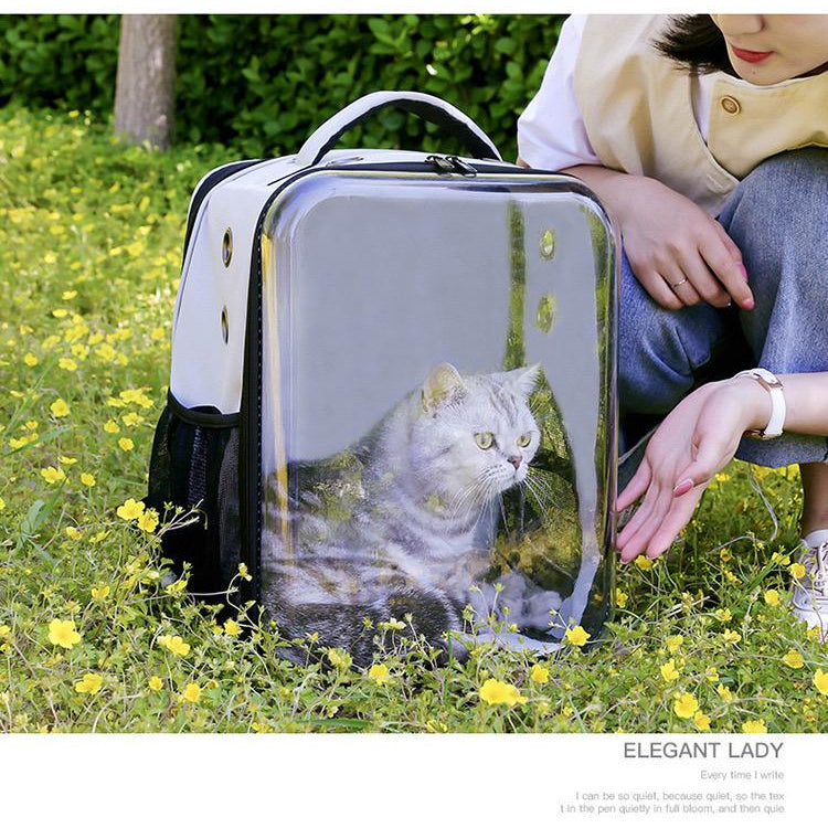 Transparent Capsule Pet Backpack (33cm)