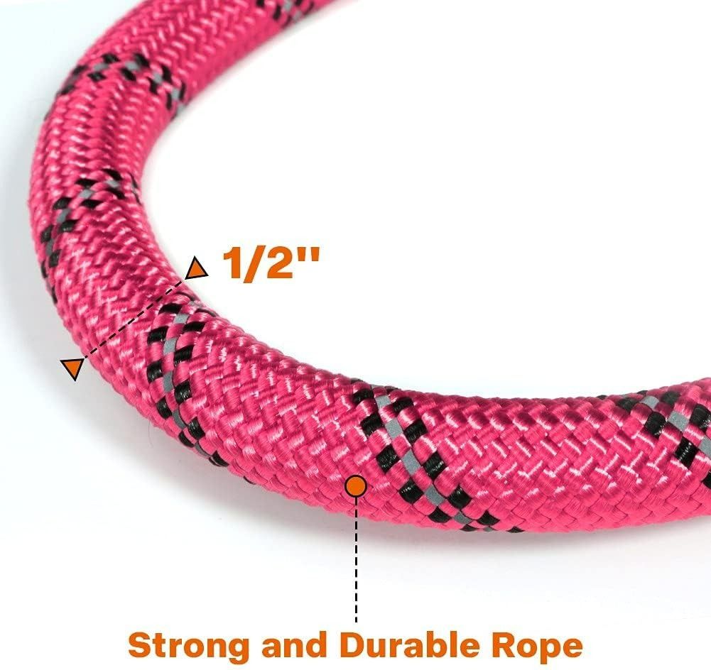 Dog Nylon Reflective Leash
