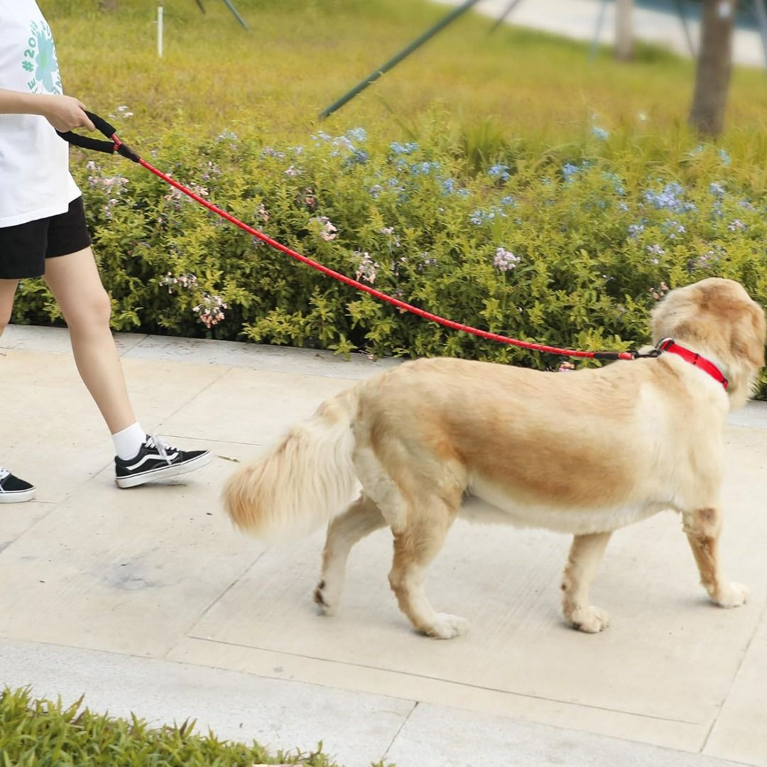 Dog Nylon Reflective Leash