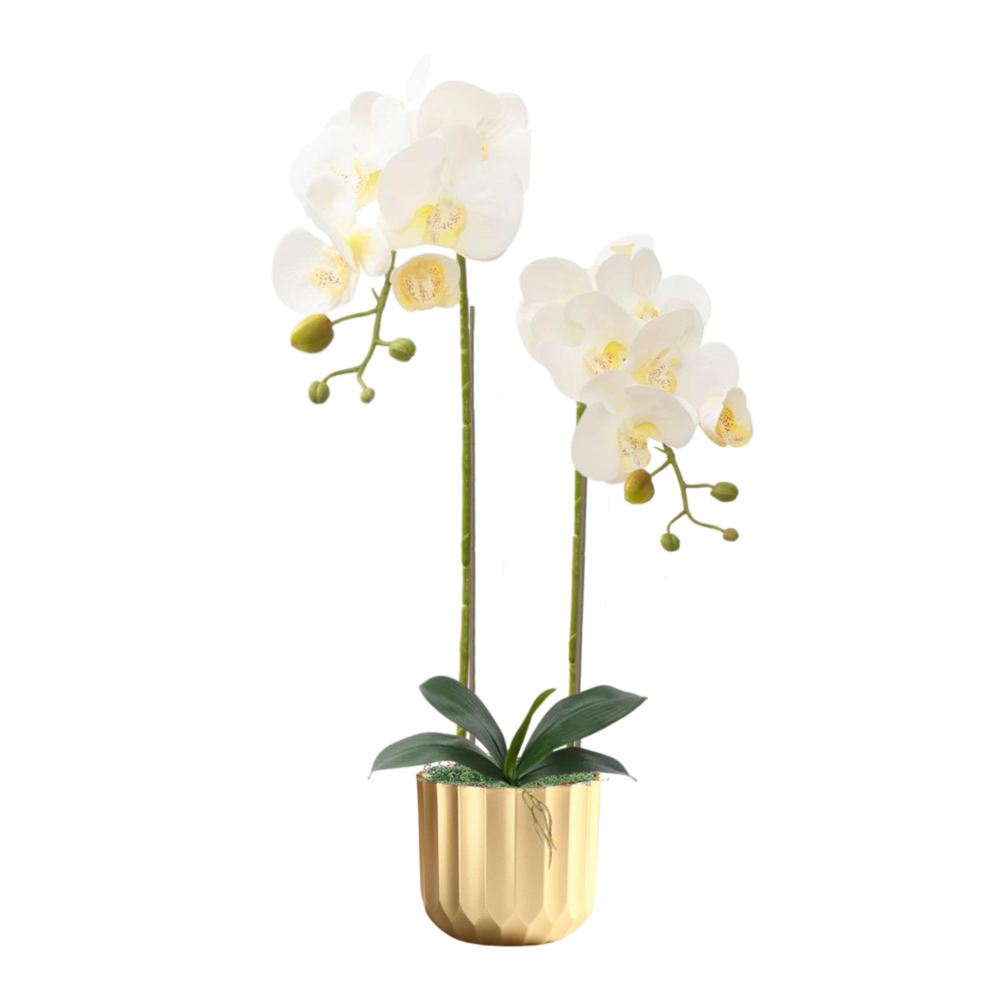 Artificial Orchid in Resin Gold Pot