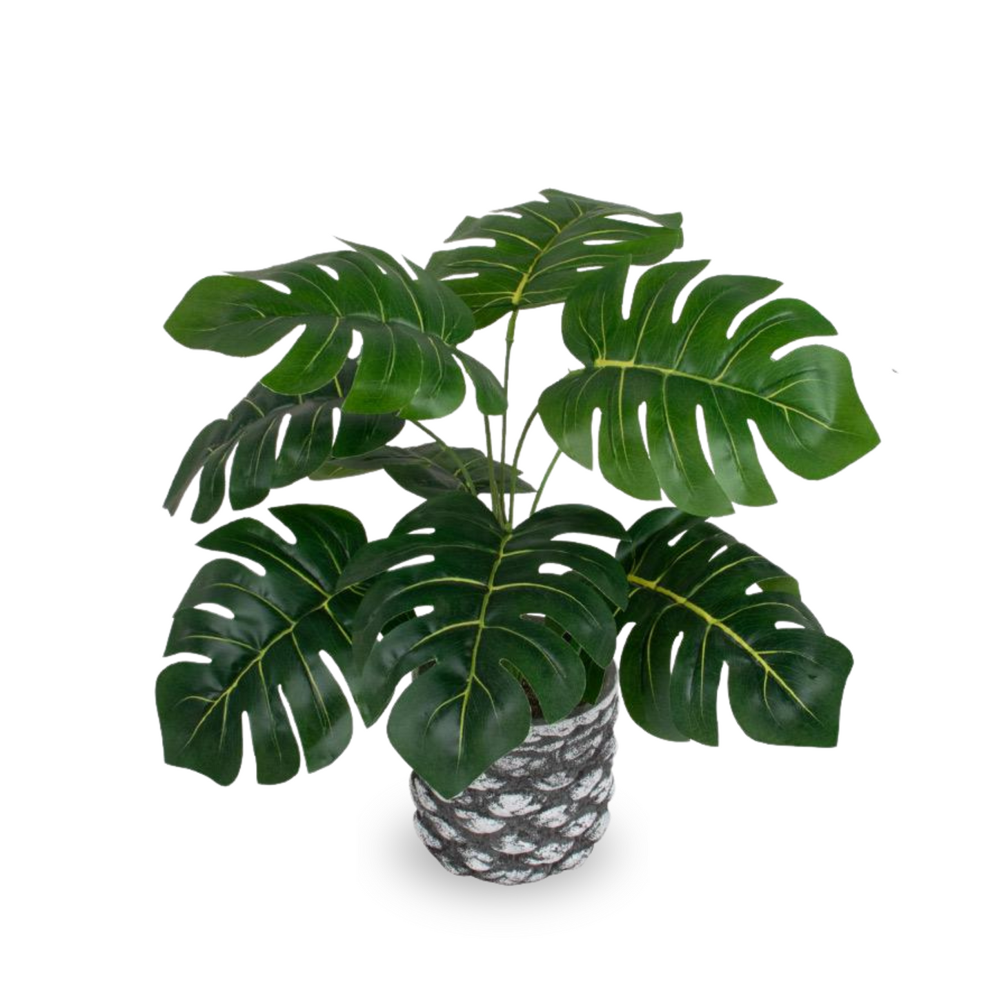 Artificial Monstera Table Plant- Pulp Pot (33cm)