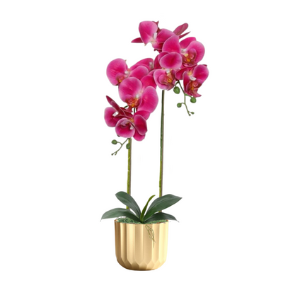 Artificial Orchid in Resin Gold Pot