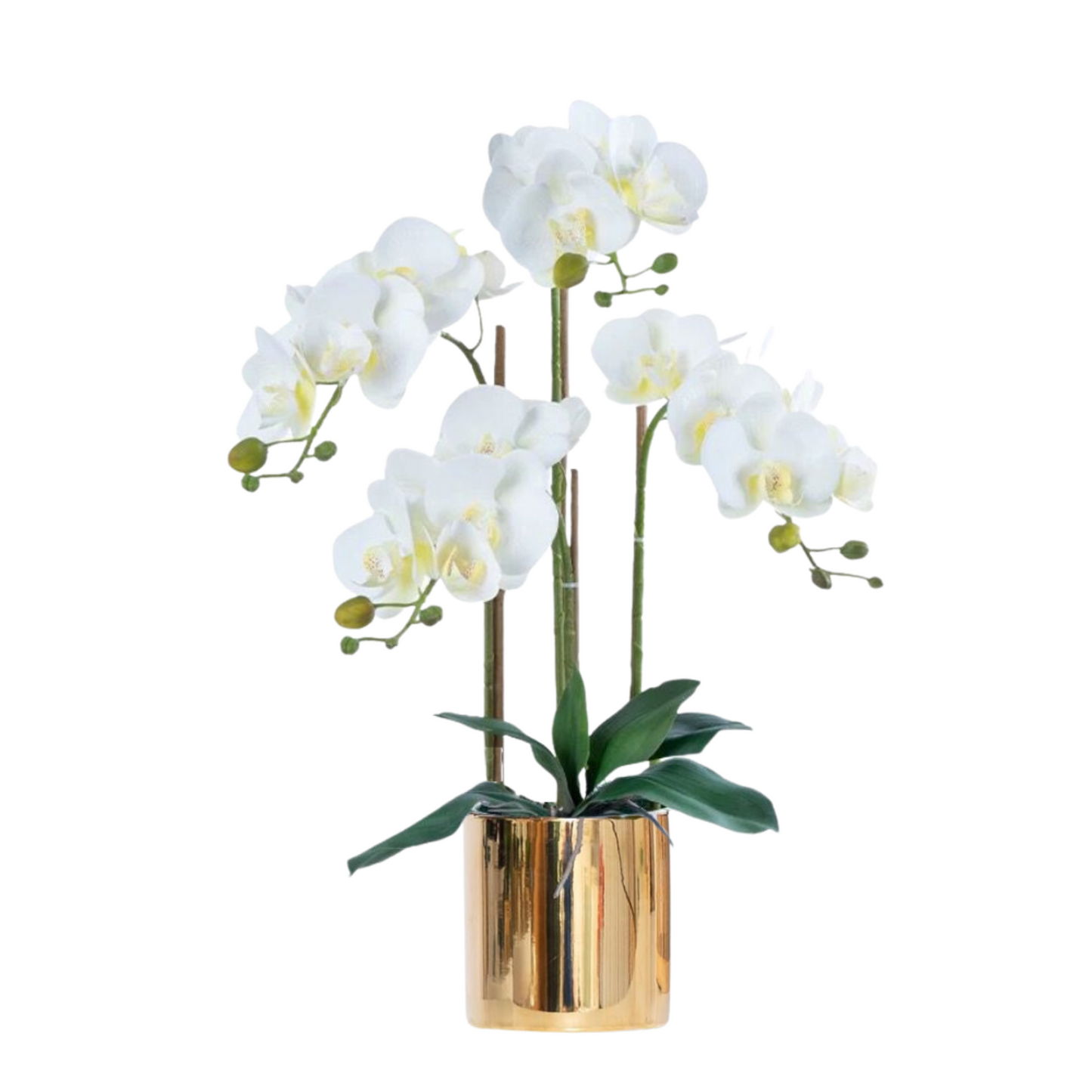 Artificial White Orchid in Ceramic Gold Pot