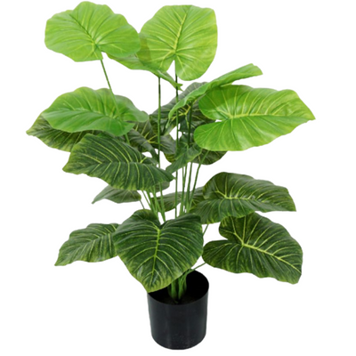 Artificial Medium Taro Plant (75cm)