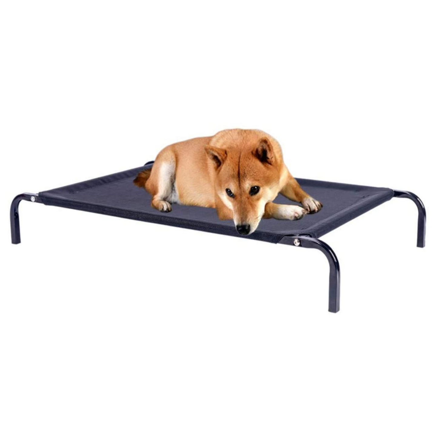 Elevated Mesh Bed