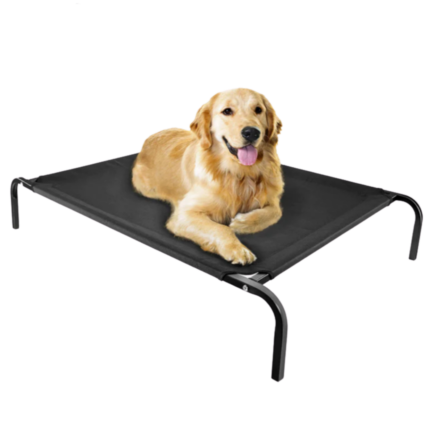 Elevated Mesh Bed