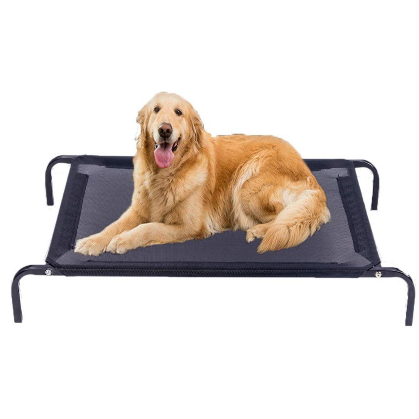 Elevated Mesh Bed