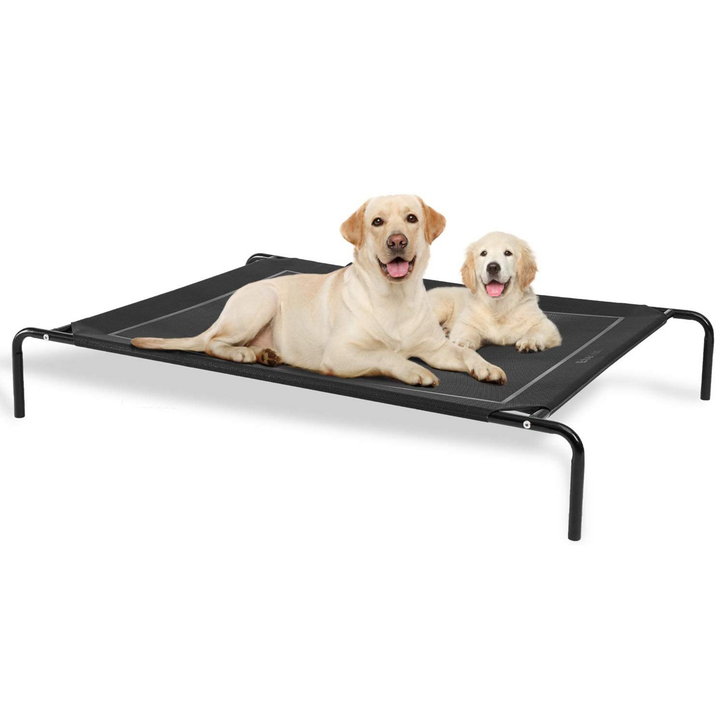 Elevated Mesh Bed