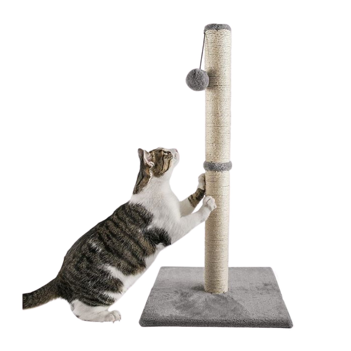 Stand Scratcher Post (88cm)