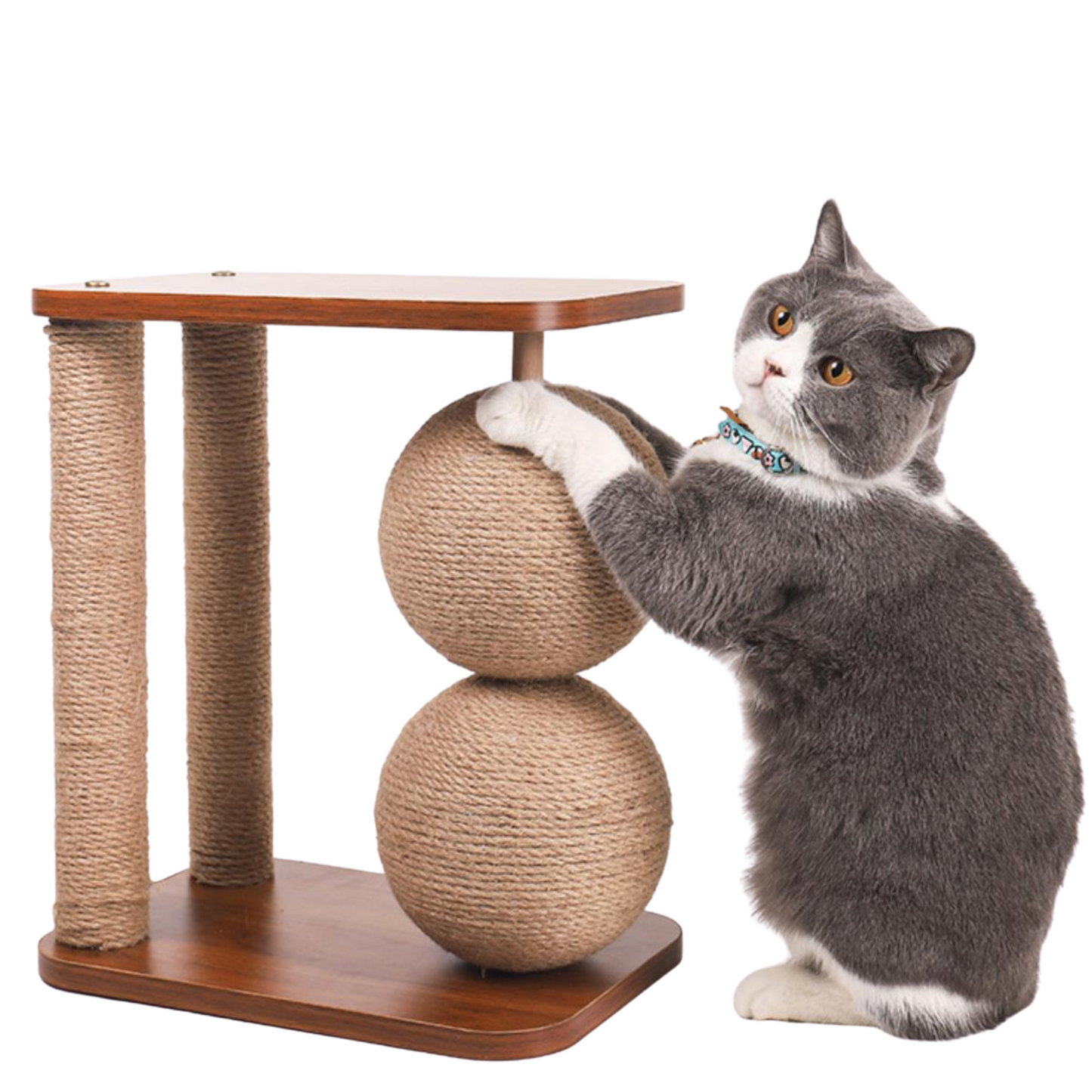 Scratcher Post - Double Ball (40cm)