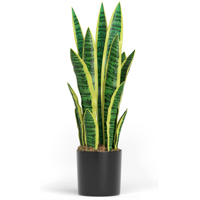 Artificial Snake Plant (60cm)