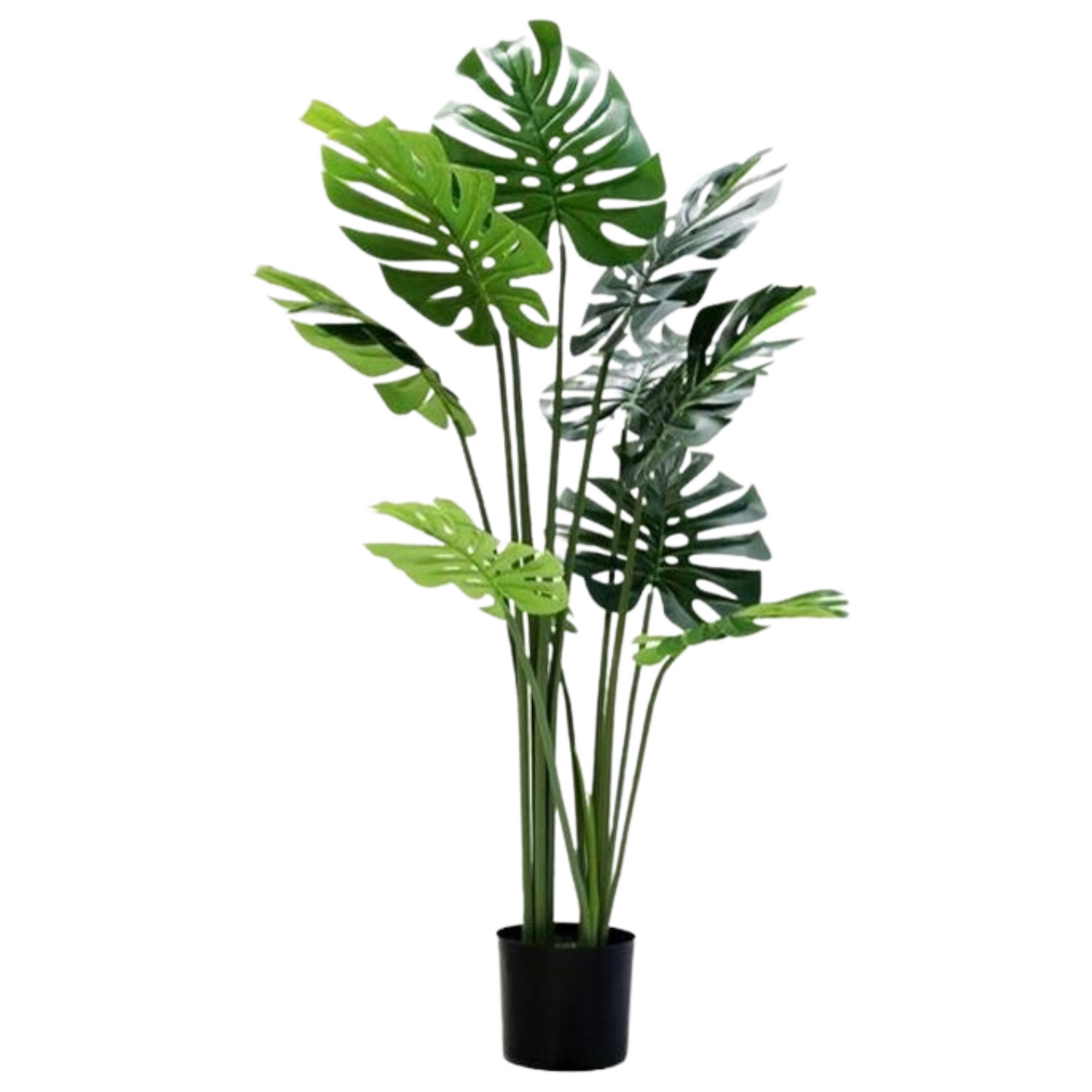 Artificial Monstera Plant (90-180cm)