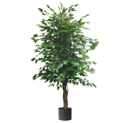 Artificial Ficus Tree (165cm)