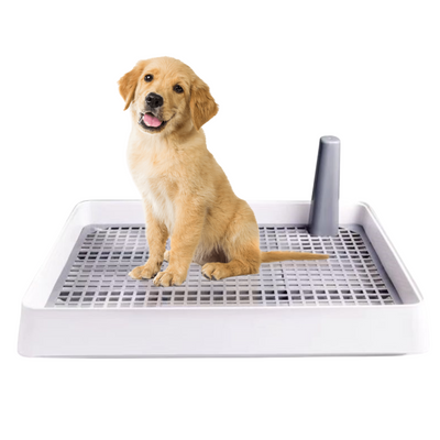 Pee Tray with Training Pole (Gray)