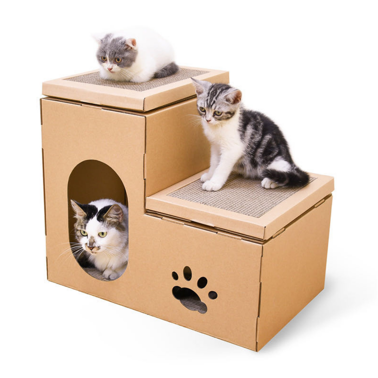 House Scratching Board (Double)