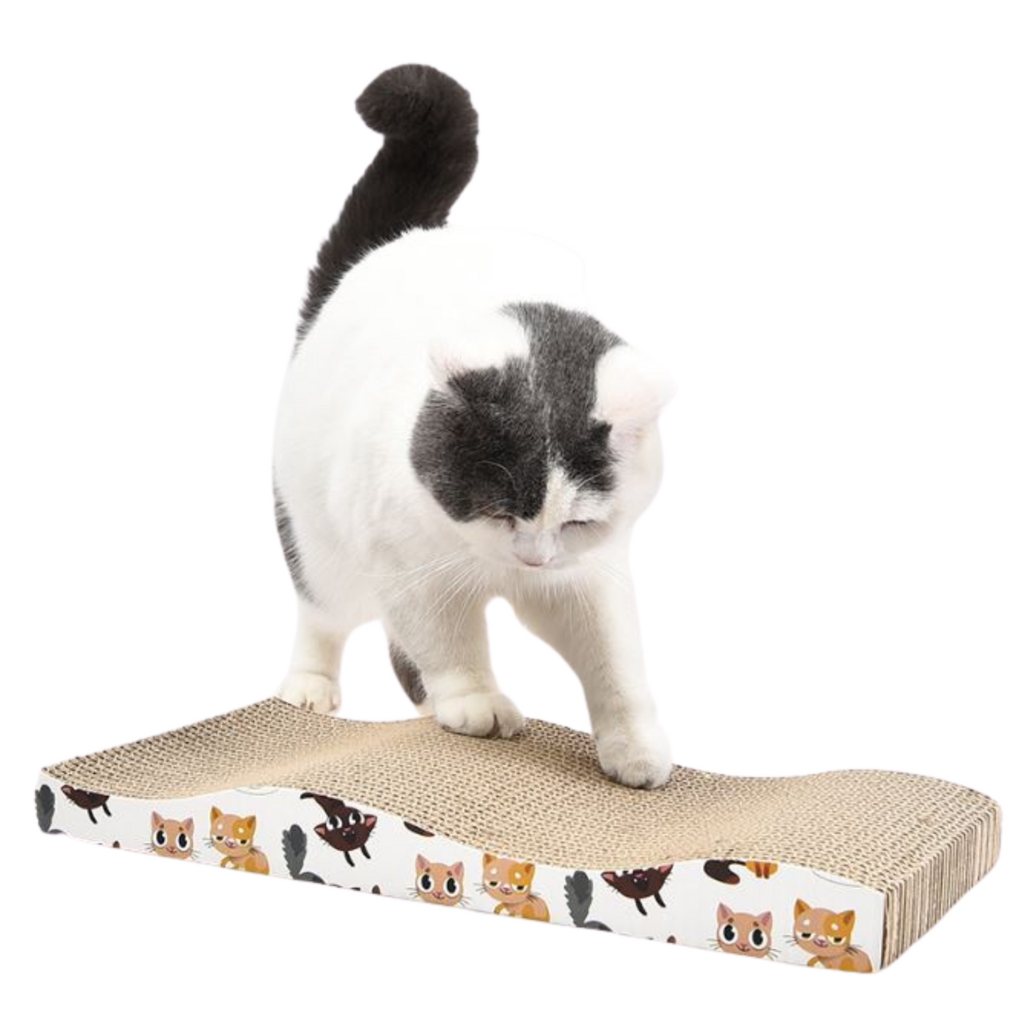 Wave Cat Scratching Board