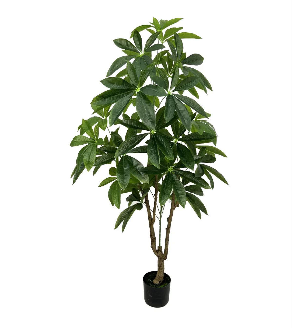Artificial Money Plant Tree (160-168cm)