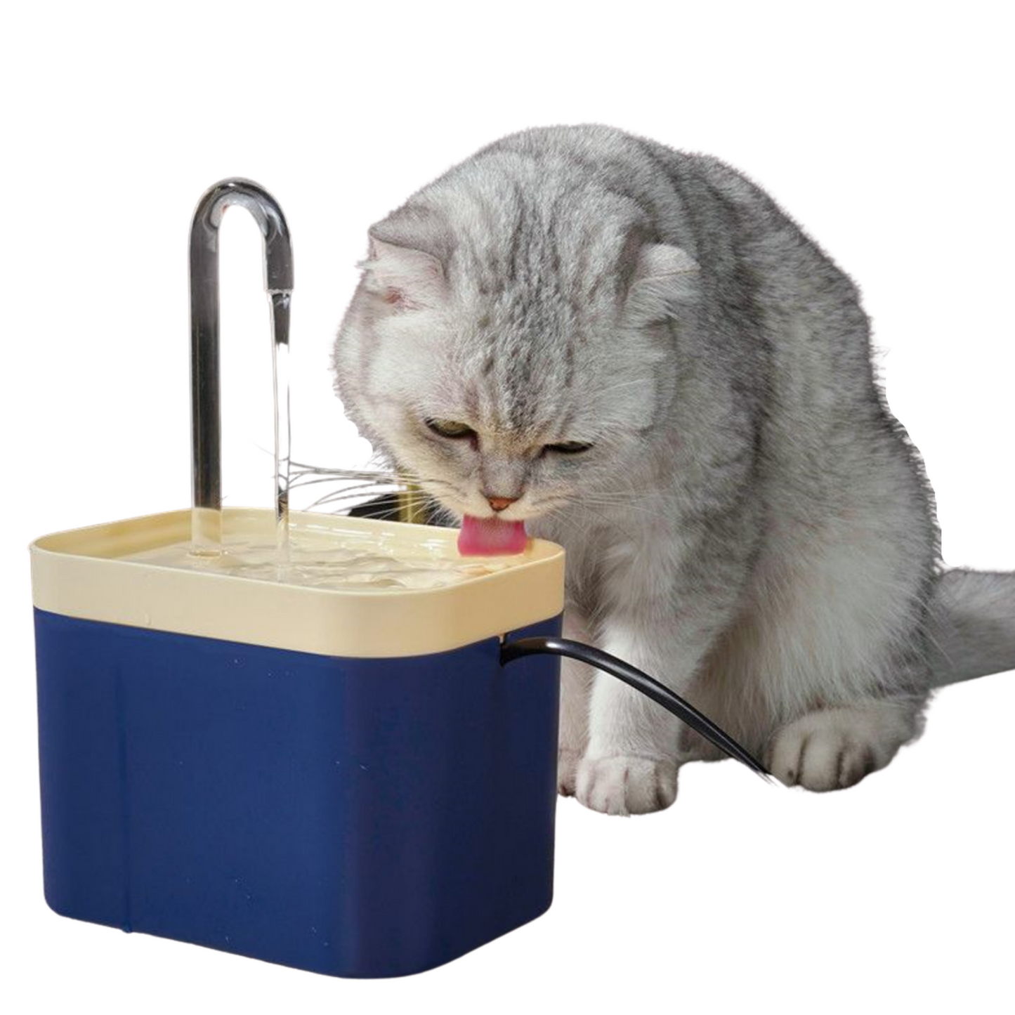 Water Fountain - Automatic with USB