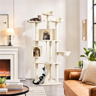 Best Locations for Installing a Cat Climbing Condo