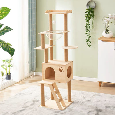 What kind of cat condo is more attractive to your cat?