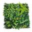 Artificial Assorted Wall Plants