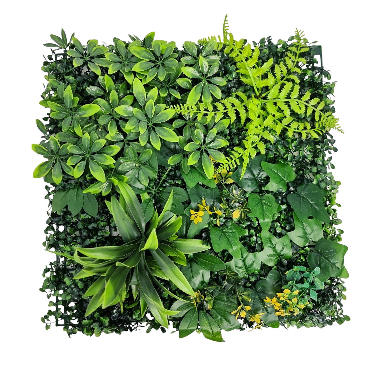 Artificial Assorted Wall Plants