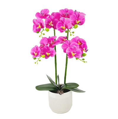 Artificial Orchid 4 Stalks In Ceramic White Pot