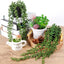 Artificial Hanging Plants In Black Pot H-4