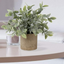 Artificial Small Table Plant in Pulp Pot