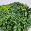 Artificial Wall Plant Panel Backdrop UV-02