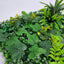 Artificial Wall Plant Panel Backdrop UV-02