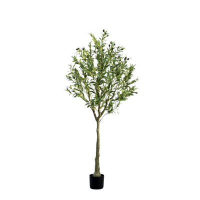 Artificial Olive Tree 155cm tall