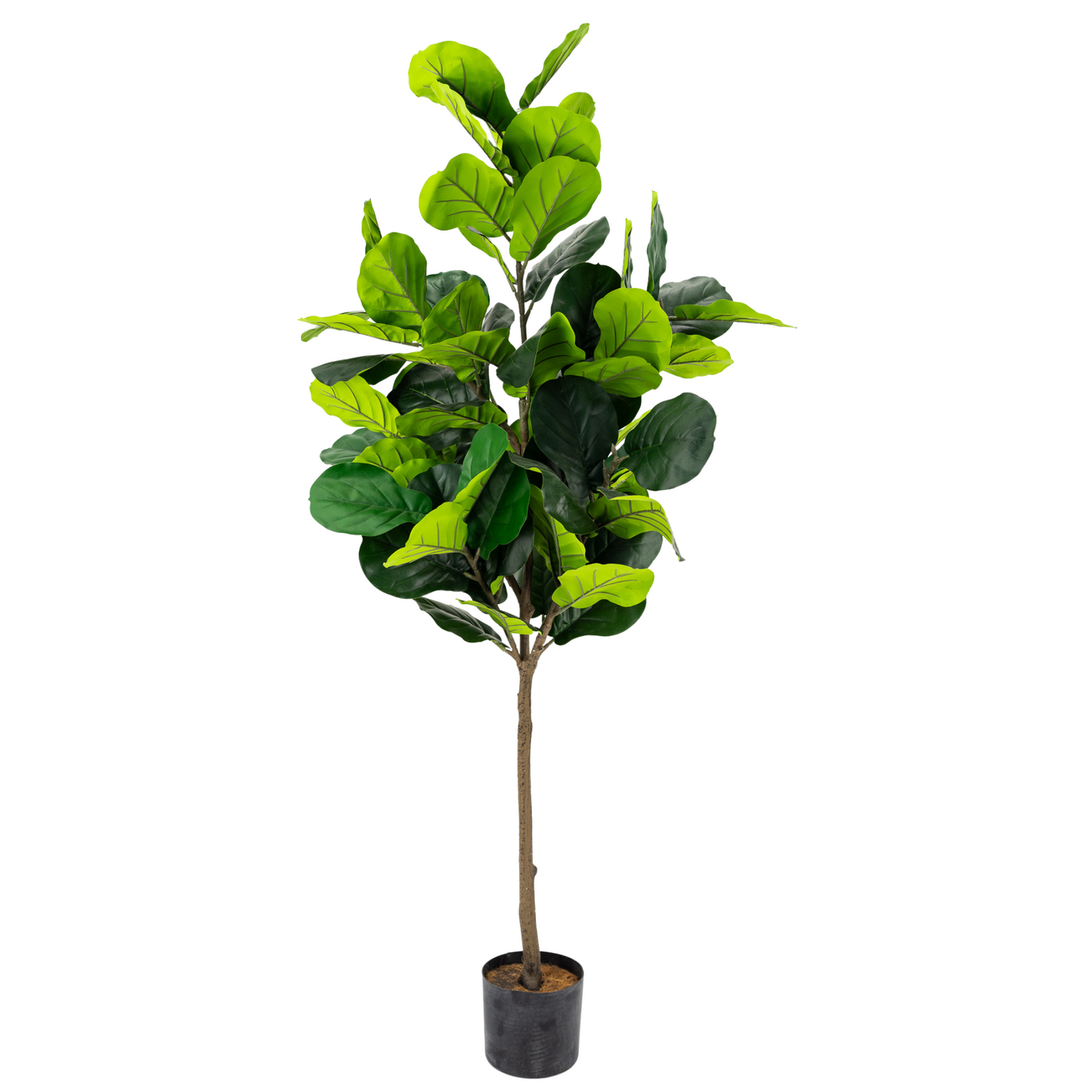 Artificial Fiddle Fig Plant 160cm