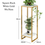 2 tier square plant rack Gold