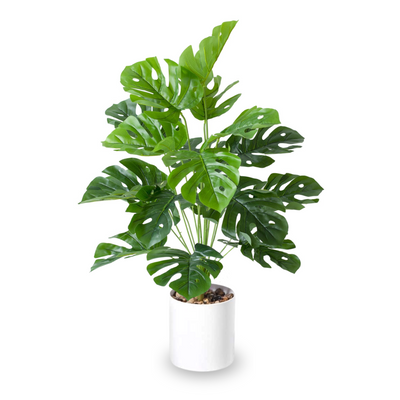 Artificial Monstera 75cm Tall in White Pot