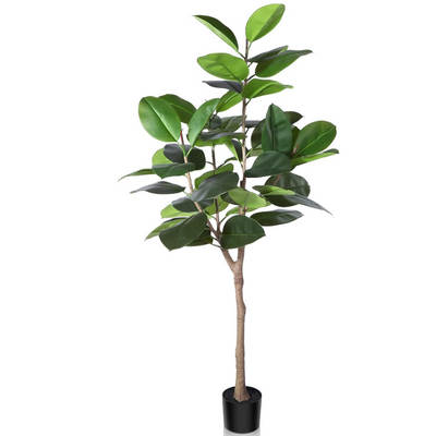 Artificial Rubber Plant 155cm Tall