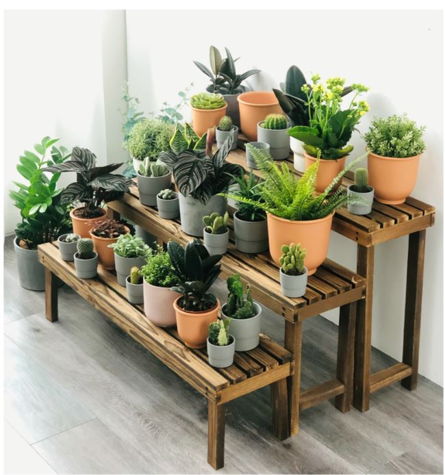Botanical Rack Single Layer Wooden Rack (100cm)